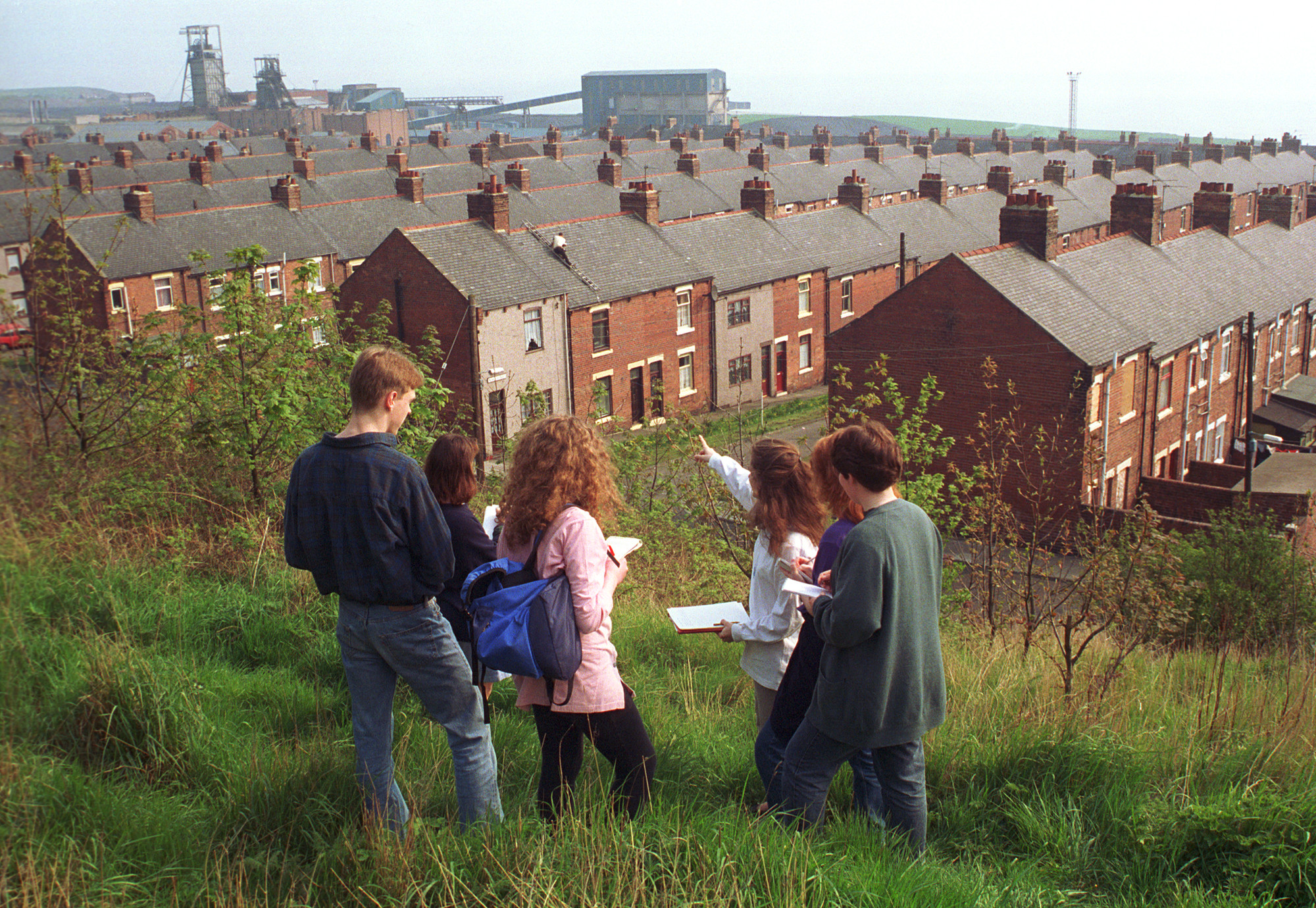 Students doing field research